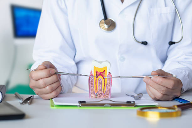 Professional Emergency Dental Service in VA